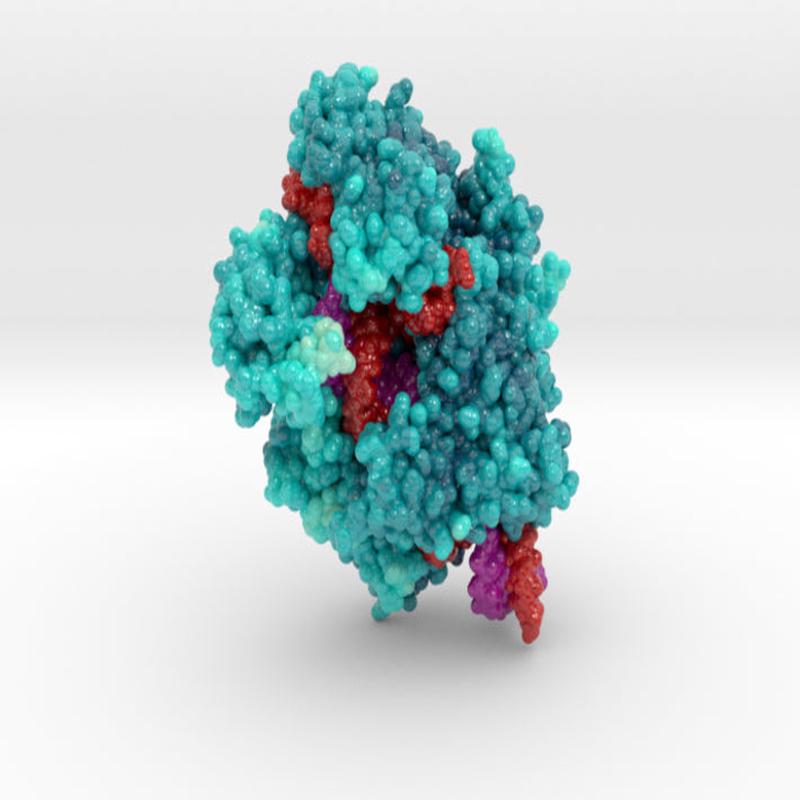 CRISPR-Cas13a 5XWP